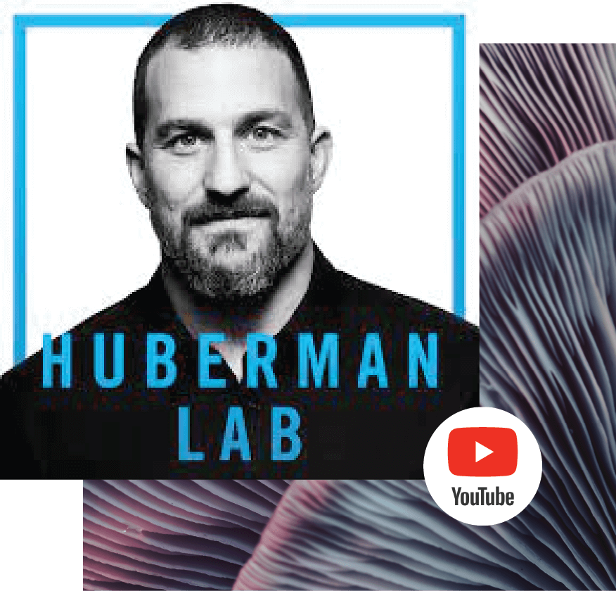 hero-huberman@1.5x